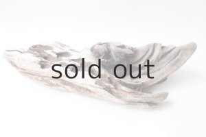 画像6: 変形流木