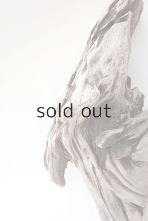 画像4: 変形流木