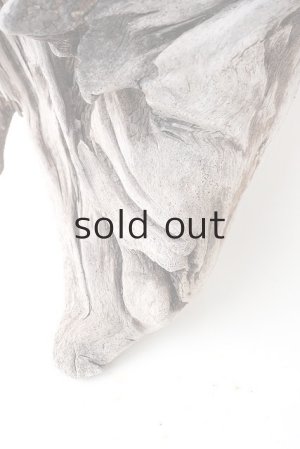 画像2: 変形流木