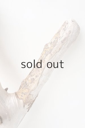 画像4: 変形流木