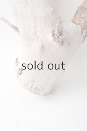 画像2: 変形流木