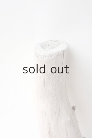 画像3: 変形流木