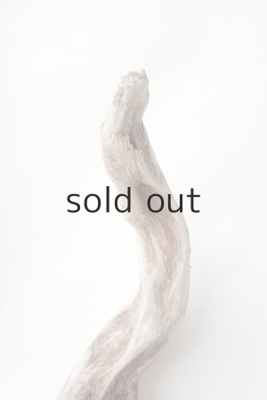 画像5: 変形流木