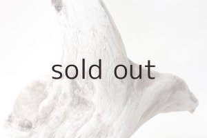 画像3: 変形流木