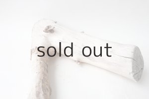 画像9: 変形流木