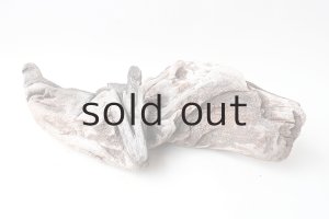 画像8: 変形流木