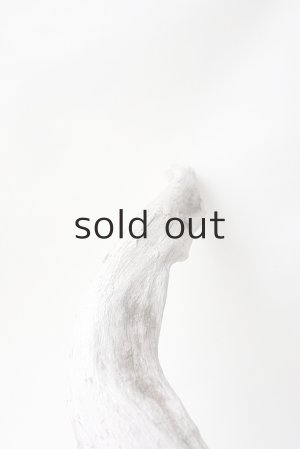 画像4: 変形流木