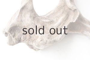 画像9: 変形流木