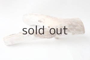 画像6: 変形流木