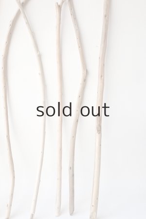 画像6: 棒流木セット