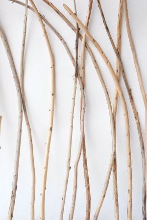 画像6: 棒流木セット