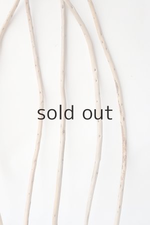 画像6: 棒流木セット