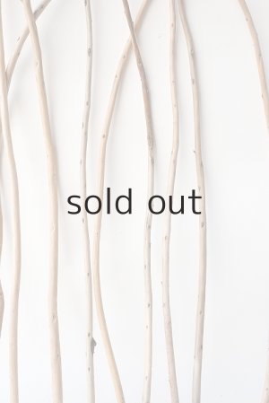 画像6: 棒流木セット