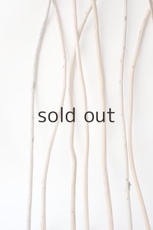 画像5: 棒流木セット