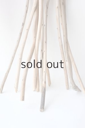 画像8: 棒流木セット