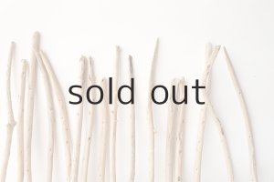 画像3: 棒流木セット