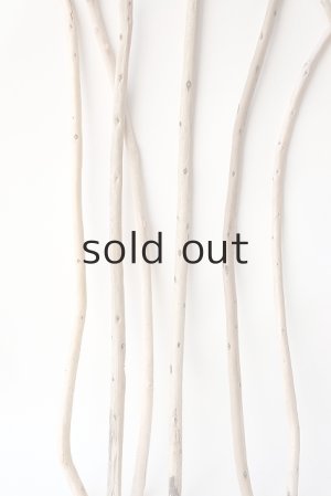 画像4: 棒流木セット