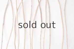 画像3: 棒流木セット