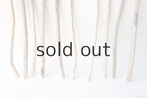 画像2: 棒流木セット