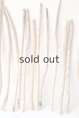 画像5: 棒流木セット