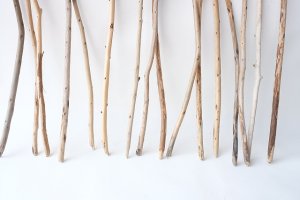 画像2: 棒流木セット