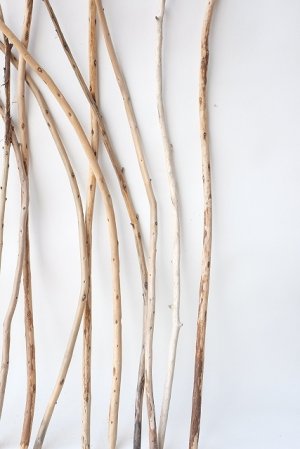 画像7: 棒流木セット