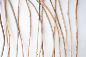 画像3: 棒流木セット