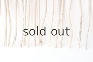 画像2: 棒流木セット