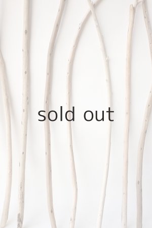 画像5: 棒流木セット