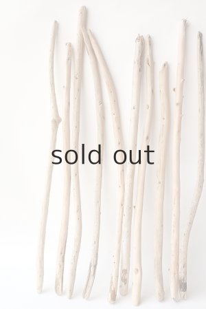 画像4: 棒流木セット