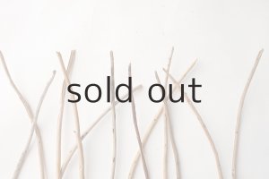 画像4: 棒流木セット