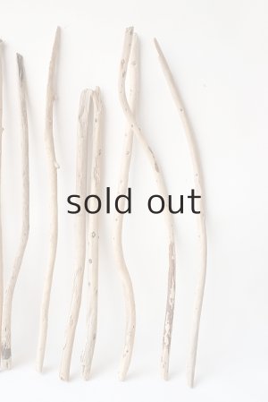 画像6: 棒流木セット