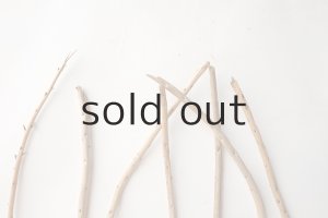 画像4: 棒流木セット