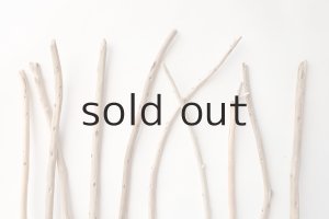 画像3: 棒流木セット