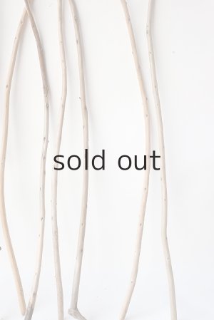 画像7: 棒流木セット