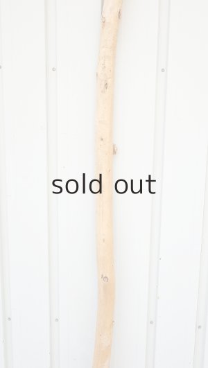 画像3: 棒流木・長尺