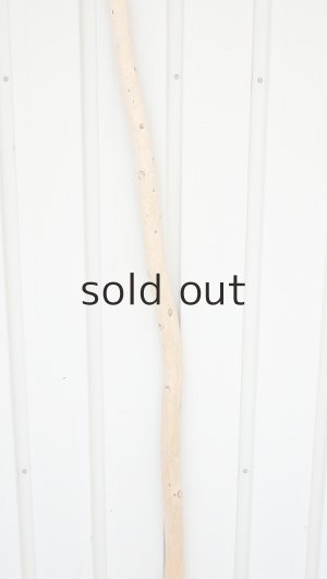 画像3: 棒流木・長尺