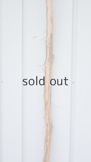 画像4: 棒流木・長尺