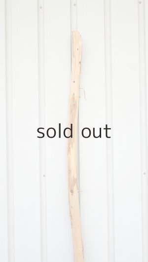 画像4: 棒流木・長尺