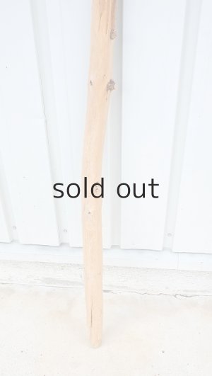 画像2: 棒流木・長尺