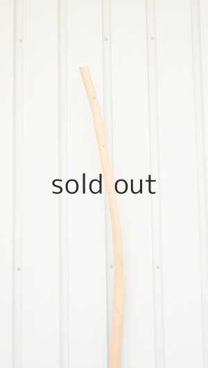 画像4: 棒流木・長尺