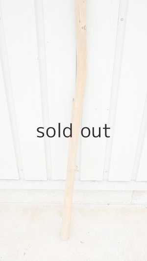 画像2: 棒流木・長尺