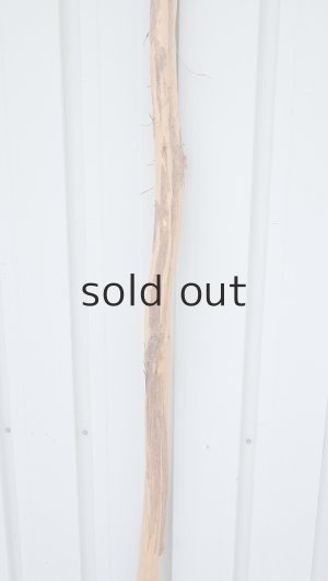 画像3: 棒流木・長尺