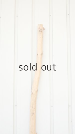 画像4: 棒流木・長尺