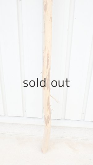 画像2: 棒流木・長尺