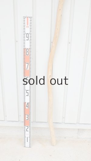 画像5: 棒流木・長尺