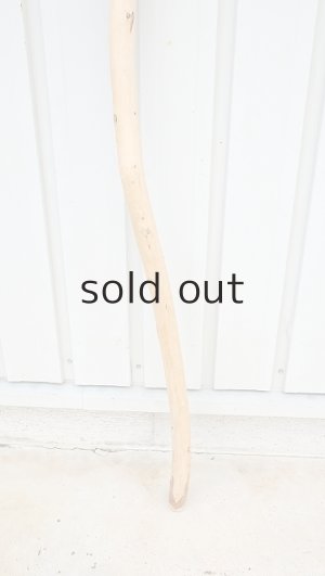 画像2: 棒流木・長尺