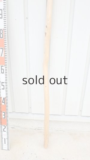 画像5: 棒流木・長尺