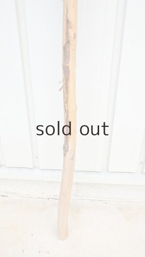 画像2: 棒流木・長尺