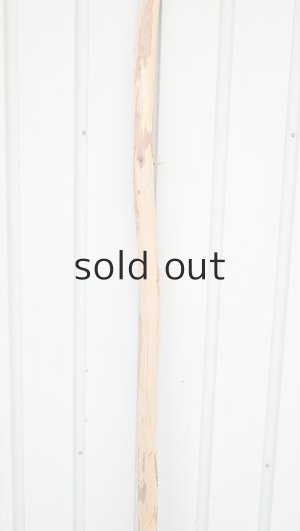 画像3: 棒流木・長尺